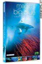 Magic Of The Big Blue