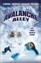 Avalanche Alley