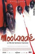 Moolaad�