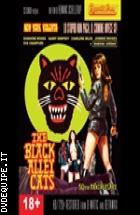 The Black Alley Cats - 50th Anniversary (V.M. 18 anni)