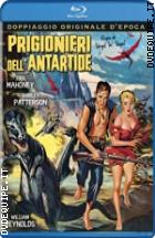 Prigionieri Dell'antartide ( Blu - Ray Disc )