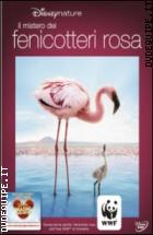 Il Mistero Dei Fenicotteri Rosa (Disneynature)