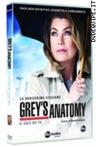 Grey's Anatomy - Stagione 12 (6 Dvd)