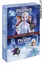 Frozen - Il Regno Di Ghiaccio + Frozen II - Il Segreto Di Arendelle (2 Dvd)