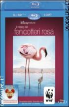 Il Mistero Dei Fenicotteri Rosa (Disneynature) ( Blu - Ray Disc + Digital Copy)
