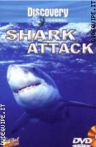 Shark Attack