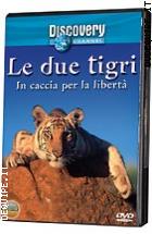 Le Due Tigri In Caccia Per La Libert�