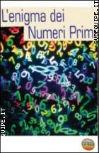 L'enigma Dei Numeri Primi