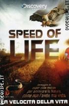 Speed Of Life - La Velocit� Della Vita (2 Dvd + Booklet) (Discovery Channel)