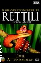 Il Meraviglioso Mondo Dei Rettili E Degli Anfibi (BBC) (3 Dvd + Booklet)