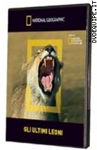 Gli Ultimi Leoni ( Dvd + Booklet) ( National Geographic )
