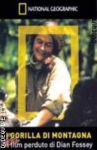 Gorilla Di Montagna (National Geographic) (DVD + Booklet)