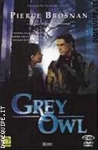 Grey Owl