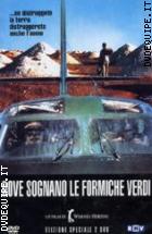 Dove Sognano Le Formiche Verdi