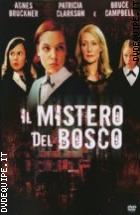 Il Mistero Del Bosco