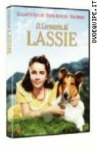 Il Coraggio Di Lassie