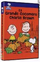 Peanuts.  Il Grande Cocomero, Charlie Brown 