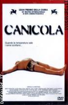 Canicola