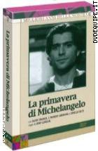 La Primavera Di Michelangelo (3 Dvd)