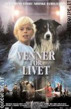 Un Amico Da Salvare (Giffoni Collection)