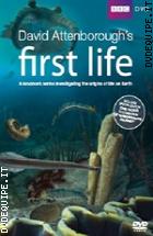 First Life - L'origine Della Vita (BBC) (2 Dvd)