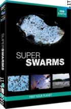 Super Swarms (BBC)