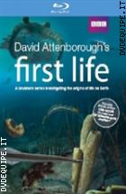 First Life - L'origine Della Vita - Bbc ( Blu - Ray Disc )