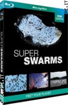 Super Swarms (BBC) ( Blu - Ray Disc )