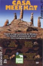 Casa Meerkat - Stagione 1 (2 Dvd)