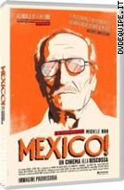 Mexico! Un Cinema Alla Riscossa