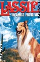 Lassie Un Amico Per La Vita