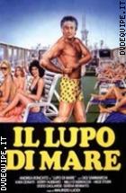 Il Lupo Di Mare