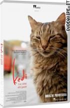 Kedi - La citt� dei gatti