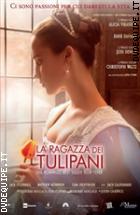 La Ragazza Dei Tulipani