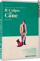 Il Colpo Del Cane