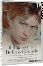 Il Ragazzo Pi� Bello Del Mondo (Collana Wanted)