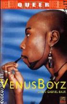 Venus Boyz