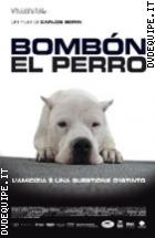 Bombn El Perro