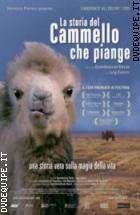 La Storia Del Cammello Che Piange