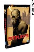 Strays