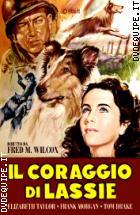 Il Coraggio Di Lassie