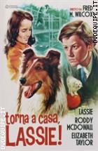 Torna a casa Lassie! (Cineclub Classico)