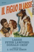 Il Figlio Di Lassie