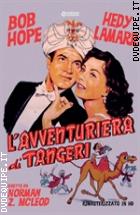 L'avventuriera Di Tangeri - Rimasterizzato In HD (Cineclub Classico)