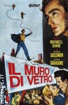 Il Muro Di Vetro (Cineclub Mistery)