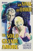 Un Solo Grande Amore (Cineclub Classico)
